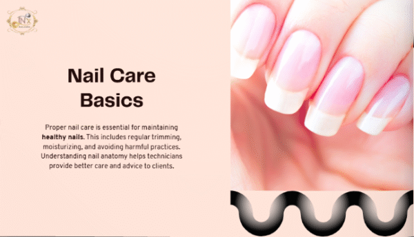 Nail Training Essentials Basic Course $1495 (2 days) - Image 2